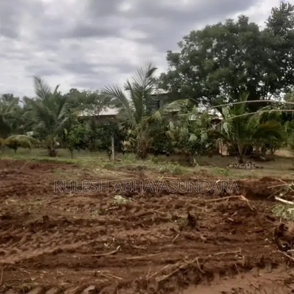 Prime Land Opportunity Facing Udawalawa National Park