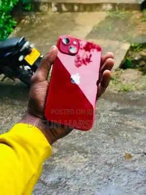 Apple iPhone 13 (Used)