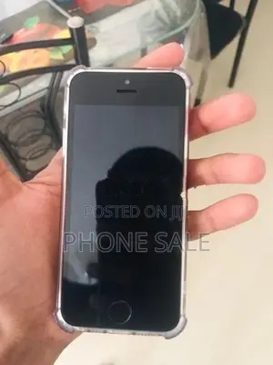 Apple iPhone SE (Used)