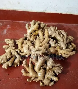 ඉඟුරු බීජ