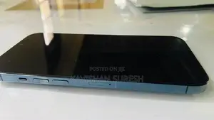 Apple iPhone 12 Pro Max (Used)