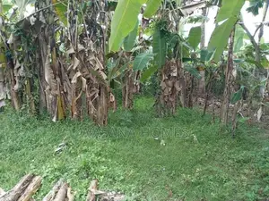 Super Land for Sale Nawala
