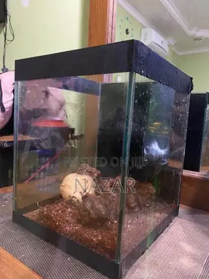 Fish Tank