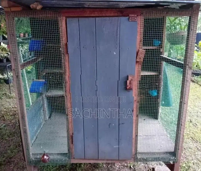 Pigeon Cage