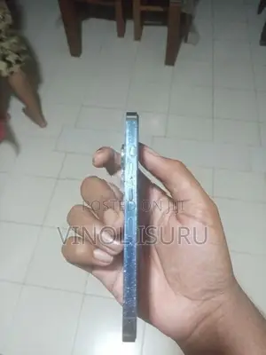 Apple iPhone 13 Pro (Used)