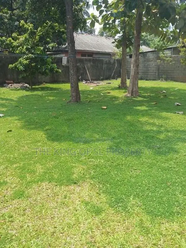 Land for Sale in Colombo 05