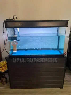 Fish Tank