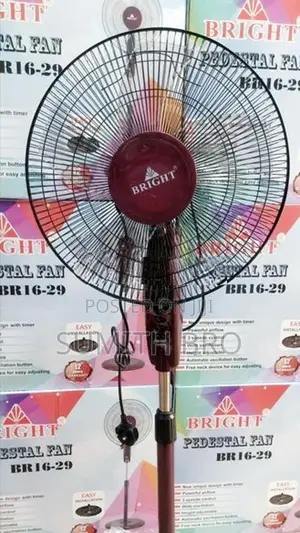 Stand Fan