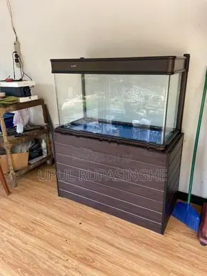 Fish Tank