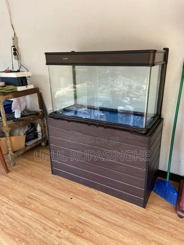 Fish Tank