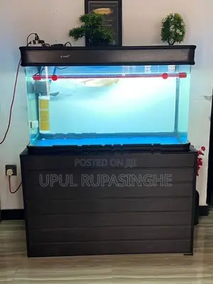 Fish Tank