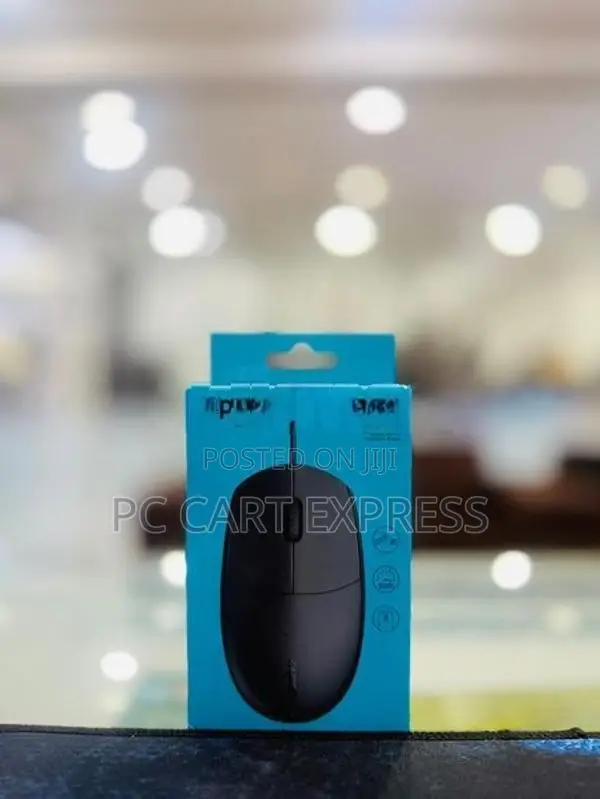RAPOO Wired Mouse