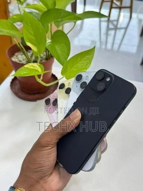 Apple iPhone 15 256GB (Used)