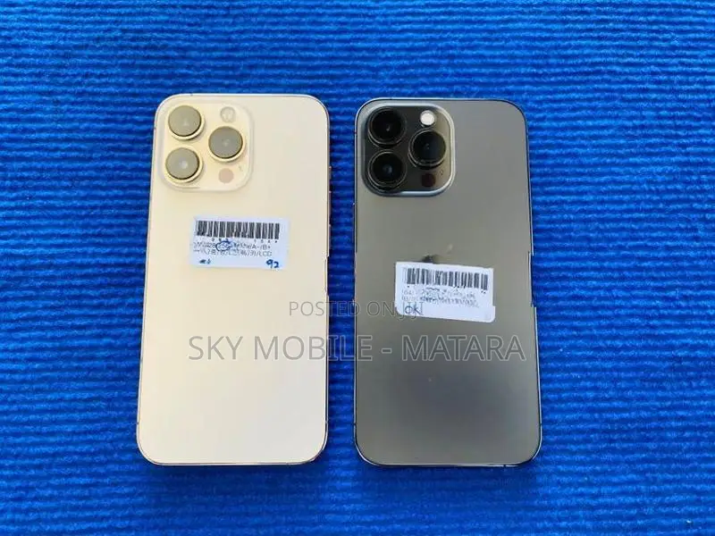 Apple iPhone 13 Pro 256GB (Used)