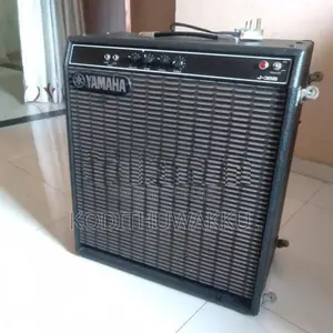 Bass Guitar Back Amp