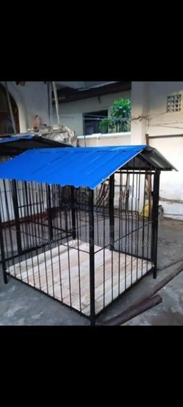 Dog Cage