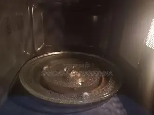 Electric oven