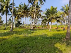 නාච්චාදූව නේවාසික බිම් කොටස් විකිණීමට.