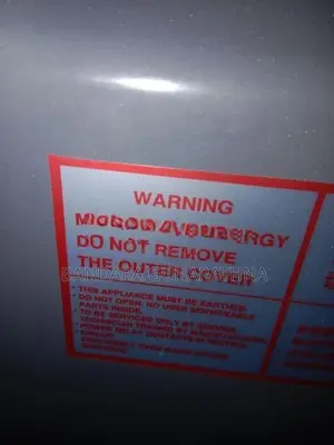 Electric oven