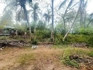 තංගල්ල ඉඩමක් විකිණීම