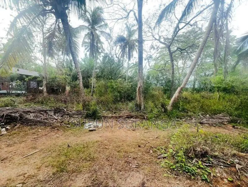 තංගල්ල ඉඩමක් විකිණීම
