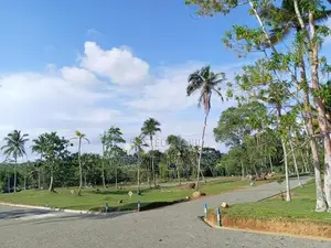 Land for Sale in Hikkaduwa