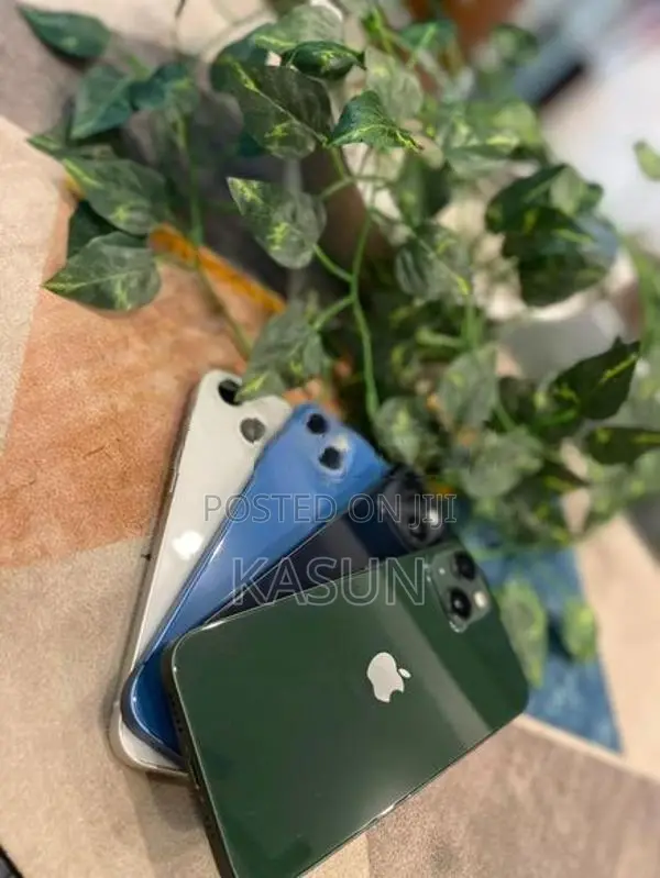 Apple iPhone 13 128GB (Used)
