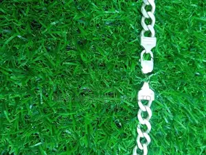 Silver Chain