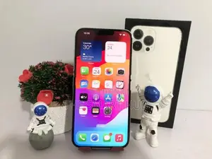 Apple iPhone 13 Pro Max 256GB (Used)