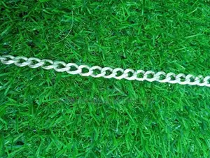 Silver Chain