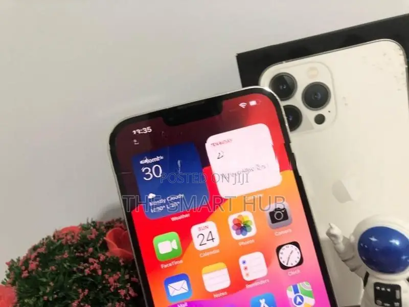 Apple iPhone 13 Pro Max 256GB (Used)