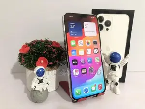 Apple iPhone 13 Pro Max 256GB (Used)