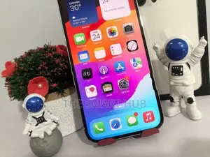 Apple iPhone 13 Pro Max 256GB (Used)