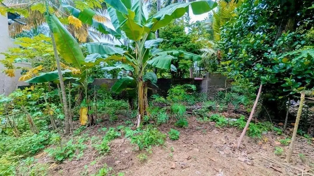 හුණුපිටියෙන් වටිනා ඉඩමක්