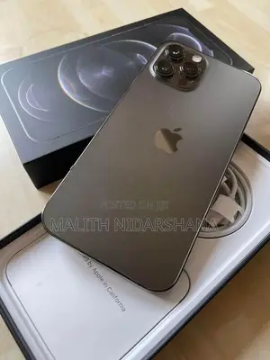 Apple iPhone 12 Pro Max (Used)