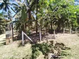 Wariyapola ඉඩමක්