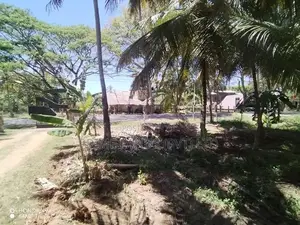 Wariyapola ඉඩමක්