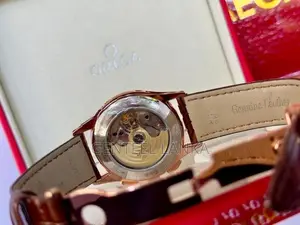 Patek Phillippe Annual Calendar Luxury Men's Watch