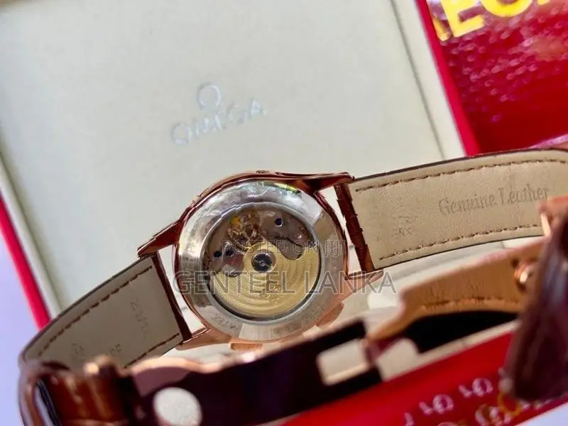 Patek Phillippe Annual Calendar Luxury Men's Watch