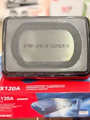 Car Underseat Sub Woofer TS-W120A