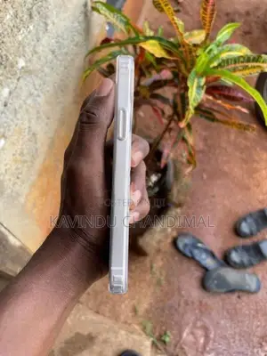Apple iPhone 12 (Used)