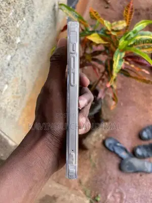 Apple iPhone 12 (Used)