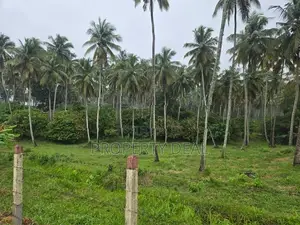 Coconut Estate for Sale Kurunegala - PDL26