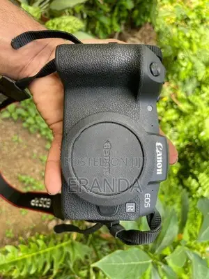 Canon RP Mirrorless Camera