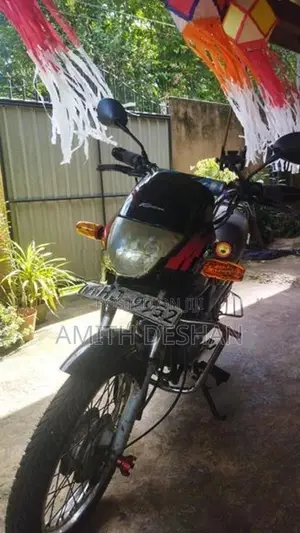 Hero Passion pro 2003