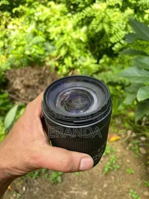 Canon RP Mirrorless Camera
