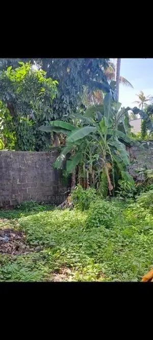 Land for Sale - Panadura