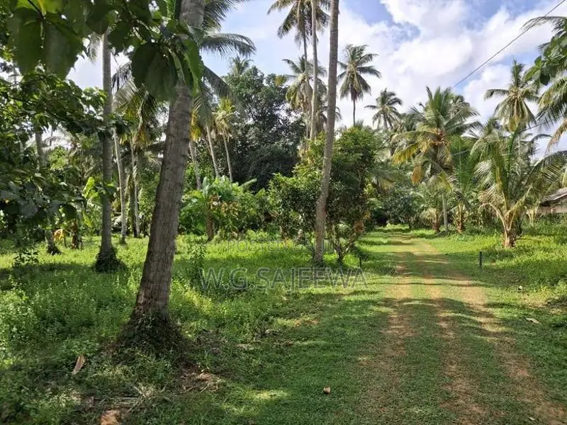 Land for Sale Godigamuwa