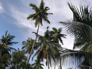 Land for Sale Godigamuwa