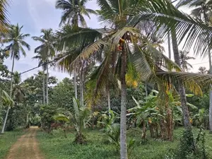 Land for Sale Godigamuwa